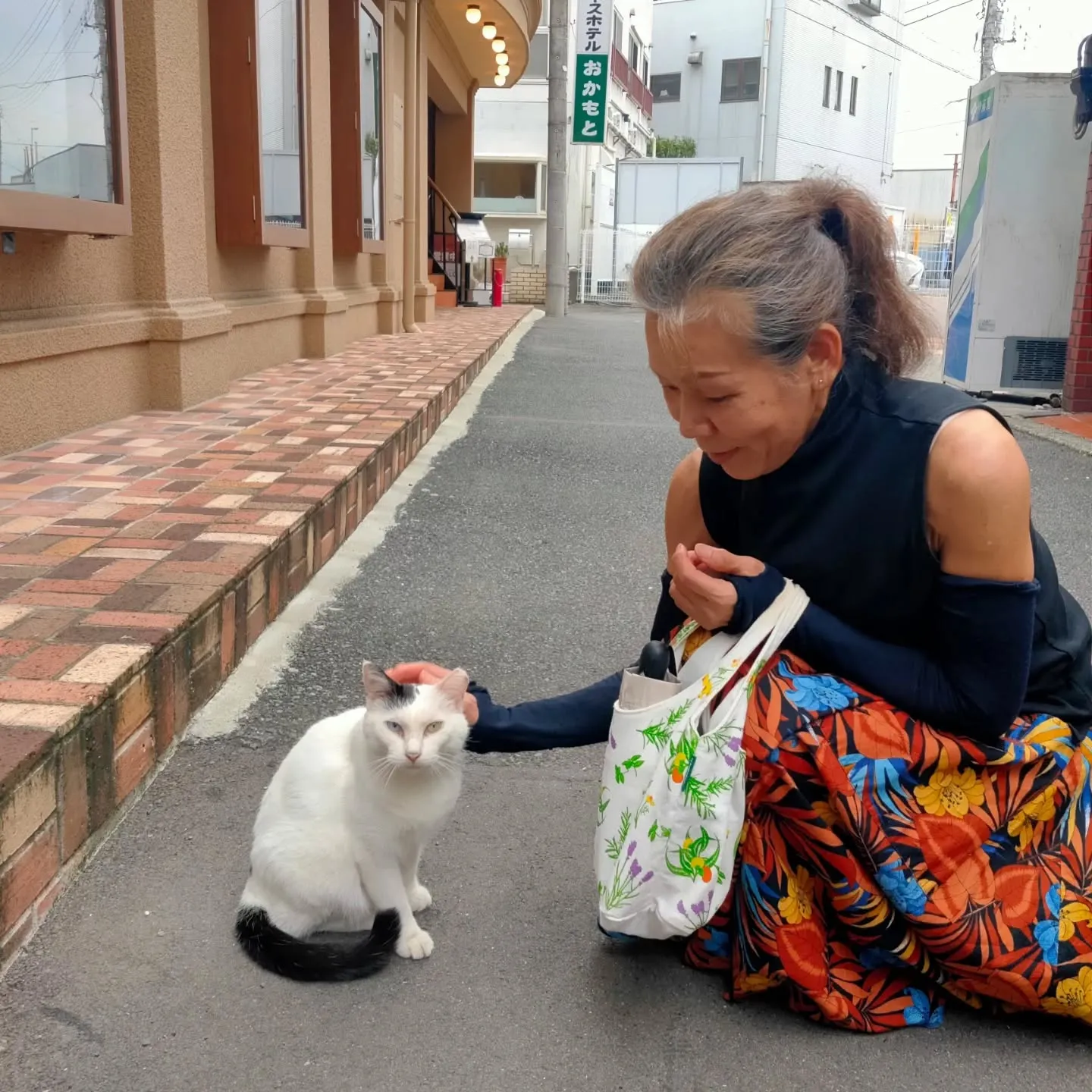 今日は小田原のTOTOCOに行ったら可愛らしい猫さんに会いま...